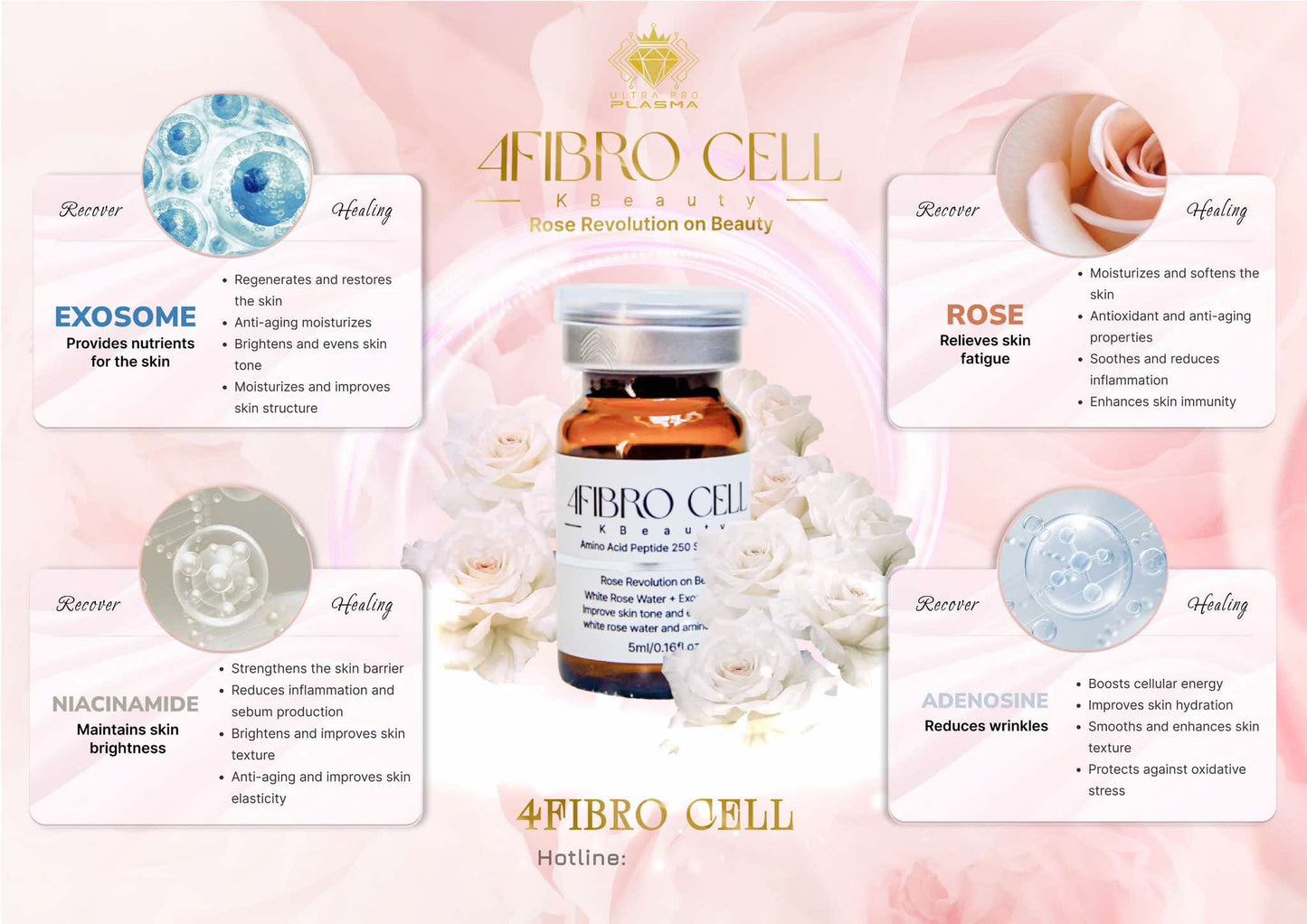 4Fibro Cell